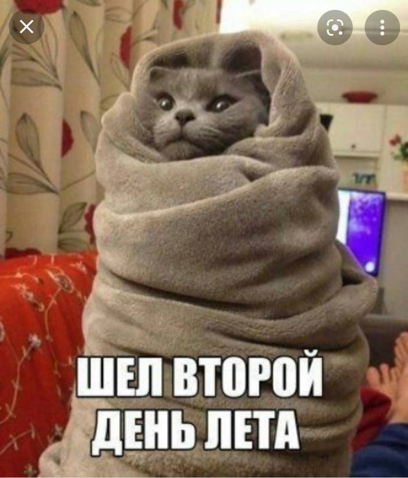 Это теплообмен, у меня густые длинные, всё ок, они меня греют.
Но и мой теплообмен выглядит примерно...