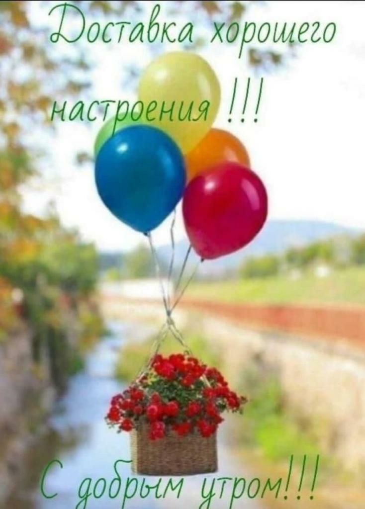 Доброе утро! 
Помогите решить задачку, пожалуйста! 
Без фото.
НБ -5 -6,5 угт, 
длина тотал блонд
Был...