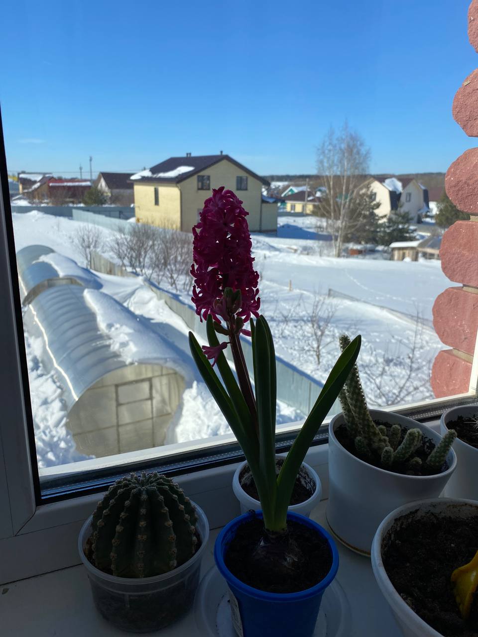 Я б не сказала что тут нищеброды с такими домами))...