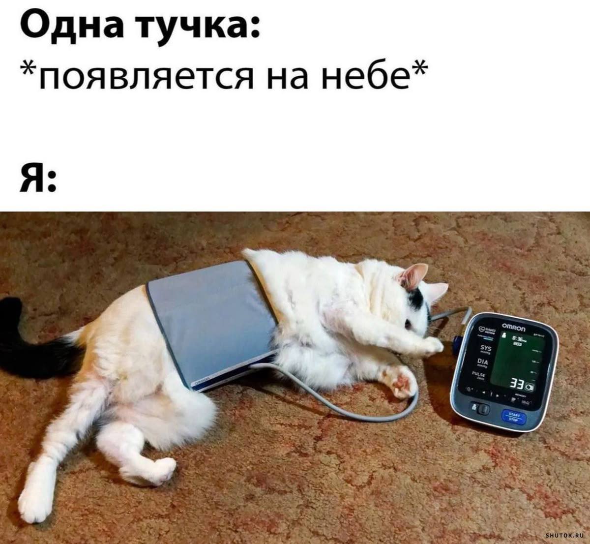 Да, я делаю аналогично))Подскажите, почему именно 800?)Это сообщение немного не поняла :( Вы имеете ввиду,...