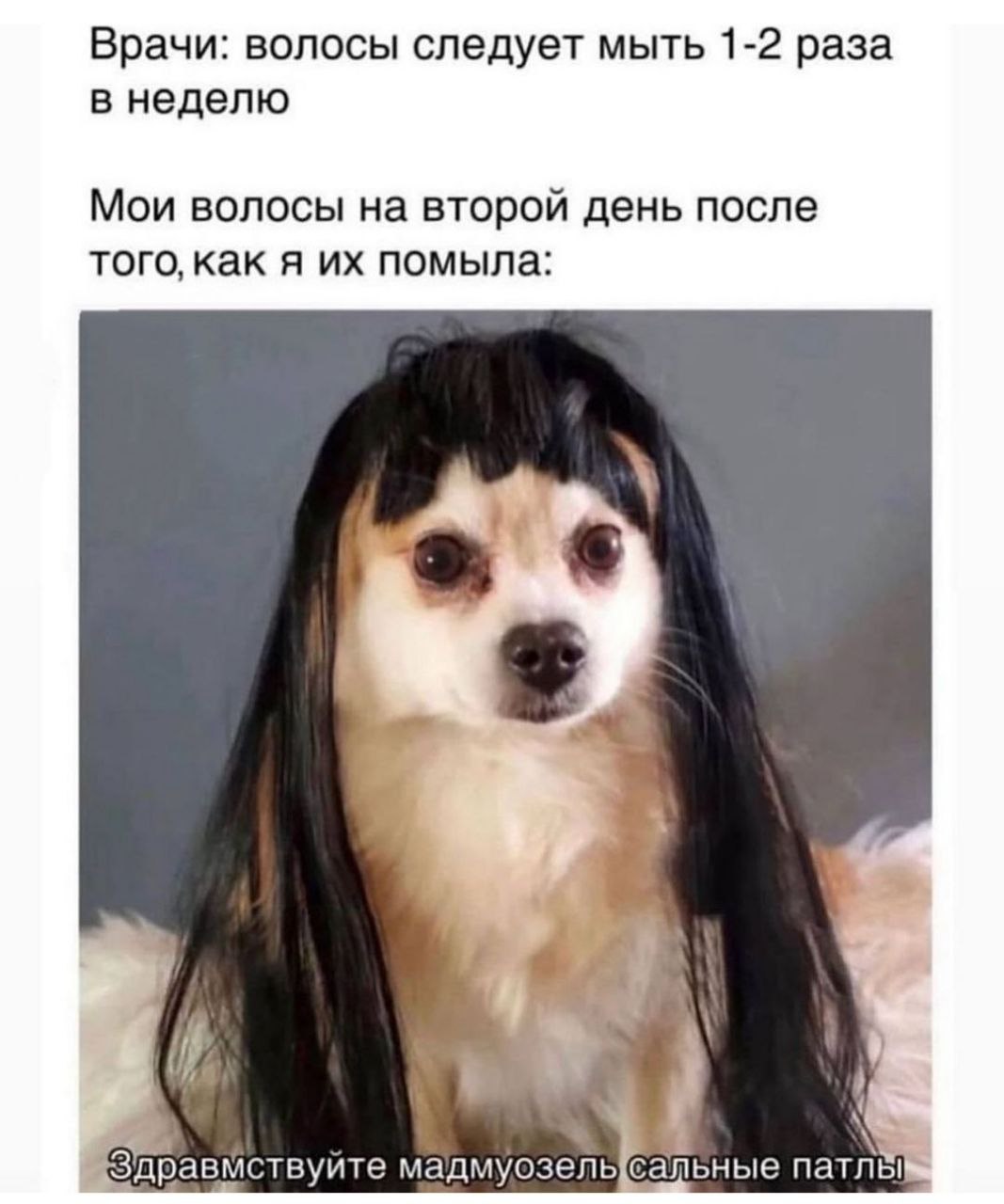 Вот поэтому лучше покупать только у официального дистрибьютора) Можно написать производителю и попросить...